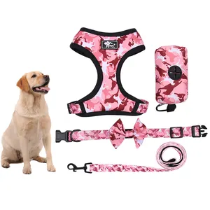 Oem Logo Custom Pet Supplies Design di lusso No Pull regolabile collare per gatti guinzaglio tattico Set di imbracature per cani