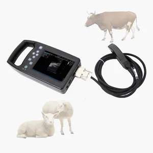 Veteriner at B modu ultrason makinesi 15 "sığır tanı için veteriner küçük hayvan veteriner kanin ultrason makinesi