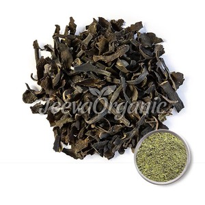 Polvo de extracto de Bladderwrack orgánico, 10:1 concentración, grado alimenticio, tambor de frutas a base de hierbas, bolsa de papel de aluminio, pedido mínimo de 1kg - Product Image 1