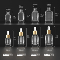 Bouteille d'huile d'emballage de cosmétiques de luxe 10ml 30ml Flacon compte-gouttes carré en verre dépoli
