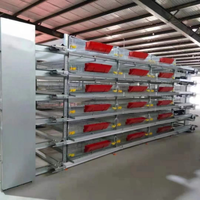 GREAT FARM Batterie de Cages à Cailles Entièrement Automatique Galvanisée, Système d'Élevage Avicole pour Fermes Modernes de Poulets et de Cailles
