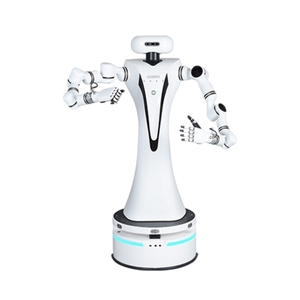 Cánh tay kép Robot công nghiệp 5kg tải trọng 7-trục Robot cánh tay kép hợp chất Cánh tay robot - Product Image 4