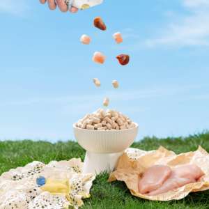 Makanan kucing kering pembekuan harga penuh, makanan hewan peliharaan mentah & tulang kering bernutrisi untuk nutrisi kucing - Product Image 2