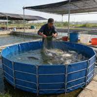 Keyubo 4000L – Bassin rond écologique en bâche HDPE/PVC bleue pour l'aquaculture (poissons et crevettes) – Fabrication chinoise