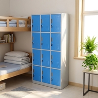 Armoire de vestiaire scolaire à 12 portes, armoire en acier pour le personnel, armoire de rangement en métal pour vêtements, casier en acier pour salle de sport