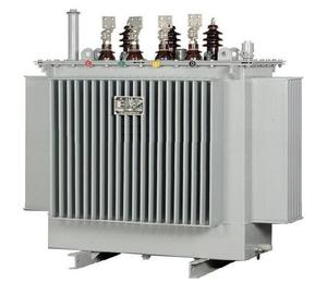 หม้อแปลงไฟฟ้าแบบจุ่มน้ำมัน 33kV 100kVA สามเฟส/หม้อแปลงไฟฟ้า 33kV 34.5kV 35kV รุ่น SafeHerm-100/35 100kva - Product Image 2