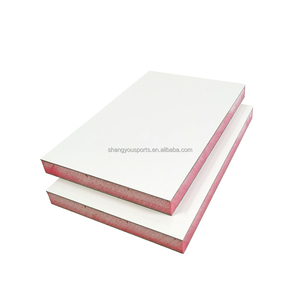 Panneaux composites isolés en plastique renforcé de fibres de verre (GRP/FRP) avec âme en mousse de polystyrène extrudé (XPS) pour les parois des camions frigorifiques - Product Image 3