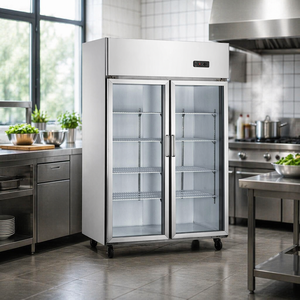 Produits phares : Réfrigérateur commercial à double porte, congélateur 2 portes, refroidisseur vertical à air pour la maison avec faible MOQ LM-FRC2G - Product Image 5