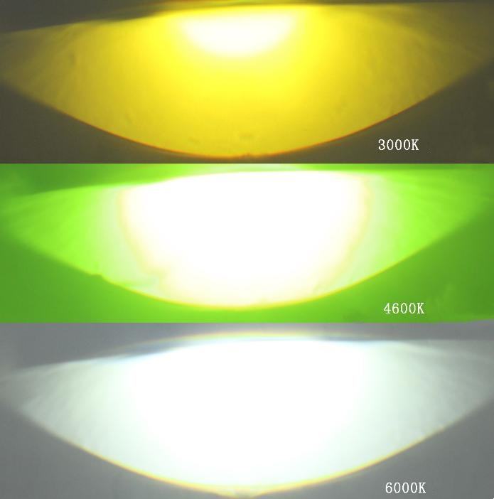 เลมอนกรีน