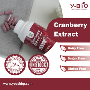 Capsules d'extrait de canneberge pur de qualité supérieure OEM ODM, antioxydant, soutien de la santé des voies urinaires pour les professionnels occupés et les étudiants - Product Image 3