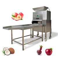 Cashew Citroen Industriële Juicer Passievrucht Maken Aloë Vera Proces Rode Biet Machine Kruidensap Extractor