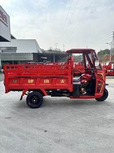 Tricycle KungFu <span class=keywords><strong>Tiger</strong></span>-Rui / Vente Flash / Tricycle à Trois Roues / <span class=keywords><strong>200cc</strong></span> / Tricycle à 3 Roues Droites / <span class=keywords><strong>Moto</strong></span> Tricycle / Alimentation à Essence / NOUVEAU 2026 - Product Image 4