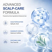 Shampoing Antichute Professionnel en Gros pour Fabricants – Kit de Soin Capillaire Détoxifiant pour Cuir Chevelu Gras – Traitement Rafraîchissant Contre les Pellicules
