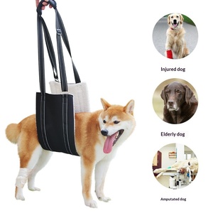 PetFit Imbracatura di Sollevamento per Cani in Tessuto Oxford Colorato per Cani Anziani, Infortunati o Disabili, con Cinghia Pettorale e Cintura Ausiliaria per la Camminata e il Supporto delle Zampe Posteriori - Product Image 1