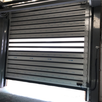 Porte de volet roulant en polycarbonate avec contrôle automatique, portes roulantes motorisées transparentes de visibilité.