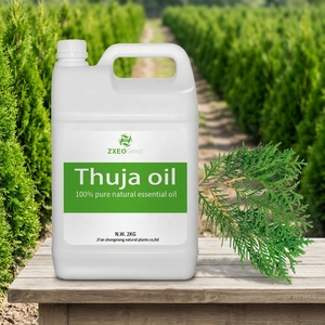 Aceite Esencial de <span class=keywords><strong>Thuja</strong></span> 100% Puro y Natural, <span class=keywords><strong>Thuja</strong></span> <span class=keywords><strong>Orientalis</strong></span> L., Aceite Esencial para Difusor, Aromaterapia, a Granel - Product Image 1