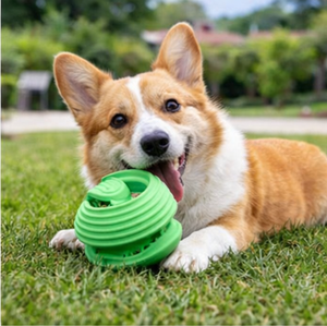Jouet à mâcher pour chien de compagnie, durable, indestructible, distributeur de nourriture, balle en caoutchouc, divertissement autonome, balle anti-ennui, <span class=keywords><strong>intera</strong></span> - Product Image 1