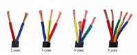 Cable de Alimentación para Uso Doméstico RVV, Flexible, Aislado con PVC, Núcleo de Cobre, Conductores Trenzados de 0.2mm-1.5mm, 2-6 mm², 100m de Longitud, OEM/SZADP