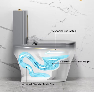 <span class=keywords><strong>2025</strong></span> hiện đại sanitarios inodoros <span class=keywords><strong>WC</strong></span> một mảnh vàng trắng màu phòng tắm nhà vệ sinh gốm Bát <span class=keywords><strong>WC</strong></span> dòng vàng phòng tắm hiện đại - Product Image 5