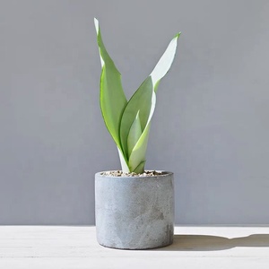 Fatto a mano moderno cilindro pentola di cemento con vassoio e foro di drenaggio per piante grasse all'ingrosso funzione di irrigazione decorativa - Product Image 1