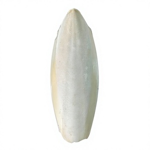 Vietnam Cuttlefish Bone Cuttlebone Natural <b>Bird</b> <b>Cage</b> Accessory for Parrots Budgies Beak Grooming Calcium Feed Wholesale - Product Image 1