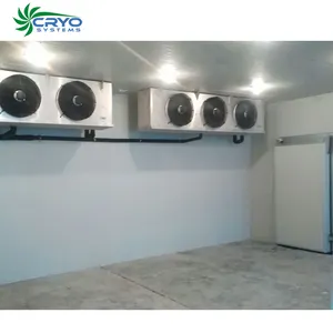 Penyimpanan Daging Sapi Ruang Dingin Desain Ruang Freezer untuk Area Penyimpanan Daging Babi Dingin