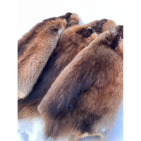 Peaux de fourrure de castor brutes de forme ovale, couleur marron naturel, pour la confection de vêtements - Vente en gros