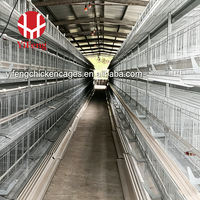Système économique de cages d'élevage automatiques de type H pour poussins, avec accessoires complets, idéal pour les projets d'élevage avicole neufs