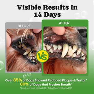 ODM/OEM Pet <b>Probiotic</b> Powder Digestive Health Supplement <b>for</b> <b>Dogs</b> Cats Support Gut Balance - Product Image 2