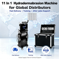 Appareil de soin du visage Hydra Dermabrasion vertical 11 en 1, nettoyage en profondeur, réduction des pores, équipement de salon de beauté OEM ODM