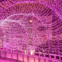 Guirlandes lumineuses LED d'extérieur 12V RGB Aurora pour arbres de Noël, décoration de jardin et de rue