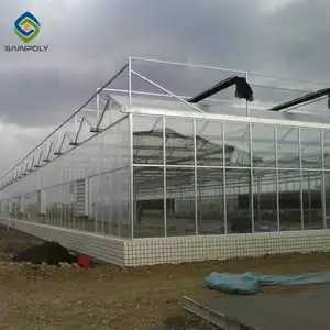 Serra che pianta agricoltura verticale sistema idroponico Nft vetro multi-campata per insalata che cresce grande