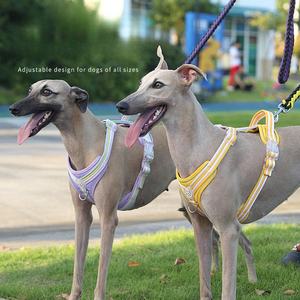 Arnés ajustable <span class=keywords><strong>para</strong></span> perro, correa <span class=keywords><strong>para</strong></span> el pecho, bonito y colorido, transpirable, de nailon, conjunto de correa <span class=keywords><strong>para</strong></span> mascotas, Anti Escape, perro con asa, galgo - Product Image 2