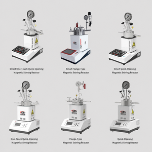Réacteur de laboratoire haute pression <span class=keywords><strong>Max</strong></span> 300 12,5 MPa, norme GB, à ouverture rapide HT-FC, en alliage Hastelloy Monel 316L, complet - Product Image 1