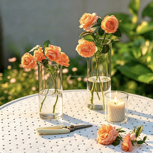 Vaso in Vetro Termoresistente per Aromaterapia, Multiuso, per Fiori e Piante Idroponiche - Product Image 6