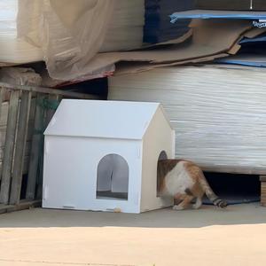 Casa para Mascotas de Plástico Corrugado Plegable y Reciclable Personalizada, Casa para Perros DIY Personalizada - Product Image 2