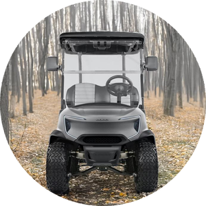 4000W CE approuvé pas cher prix couleur personnalisable 4 places voiturette de golf électrique - Product Image 1