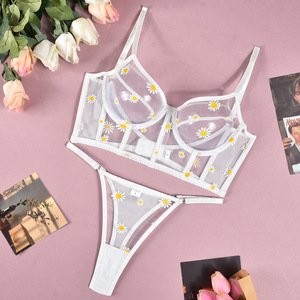 Corsé Ultrafino con Diseño de Espina de Pescado en Oferta, Conjunto de Lencería para Mujer, Conjunto de Lencería Transparente con Efecto Push-Up al por Mayor - Product Image 6