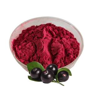 Pó de Extrato de Açaí Liofilizado Orgânico de Alta Qualidade LongSheng, Grau Alimentício 25%-100%/Pó de Açaí do Brasil - Product Image 4