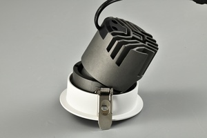 Luce Led verso il basso 12W regolabile trimmable incasso regolare angolo del fascio fissare verso il basso la luce del punto per il progetto hotel illuminazione interna - Product Image 2
