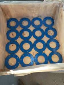 DN50, PN50 Fbe Revêtement PE Poudre Revêtement bride A182 F316 Anneau de Bêche Brides aveugles - Product Image 2