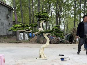 Sculpture de pin bionique haut de gamme, style chinois moderne, plante verte artificielle, pour aménagement paysager de cour et <span class=keywords><strong>escalier</strong></span> - Product Image 4