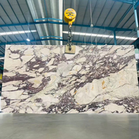 Marbre Calacatta Viola poli, grande dalle, veine violette, marbre blanc pour murs, sols et comptoirs intérieurs de villas et d'hôtels