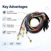 Rangkaian Kabel Silikon IP67 Multi Parameter untuk Monitor Pasien Medis Kustom, Konektor Bundar 10 Pin, OEM/ODM Wiring Harness