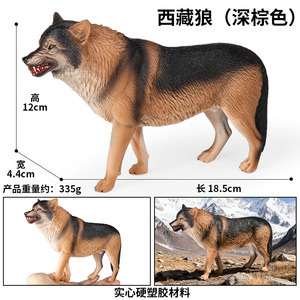 ของเล่นเด็ก yxs โมเดลสัตว์ป่าเสริมสร้างพัฒนาการทางปัญญา หมาป่าทิเบต <span class=keywords><strong>ตัวผู้</strong></span> สีน้ำตาล ของตกแต่งตั้งโต๊ะรูปหมาป่า<span class=keywords><strong>ค</strong></span>ำราม - Product Image 4