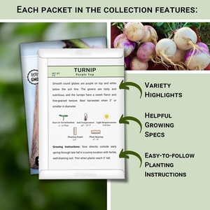 Collection <span class=keywords><strong>de</strong></span> packs <span class=keywords><strong>de</strong></span> truies sans OGM Heirloom pour la maison <span class=keywords><strong>potager</strong></span> betterave navet paquets <span class=keywords><strong>de</strong></span> plantation individuels pots <span class=keywords><strong>de</strong></span> fleurs jardinières - Product Image 2