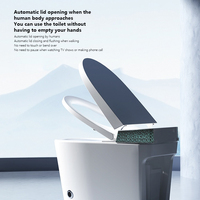 Toilette intelligente sur mesure, couleur personnalisée, réglages personnalisés, bidet intelligent, toilette intelligente pour la décoration de maisons de luxe