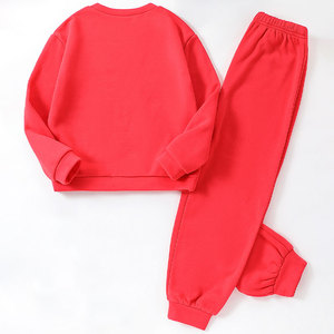 Set di Abbigliamento Invernale per Bambini all'Ingrosso, Felpa con Collo Tondo e Jogger con Ricamo 3D, Completo 2 Pezzi per Bambine - Product Image 5