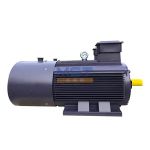Hot Sale 500hp 380v 3 Phase Electric Motor for Variable Frequency