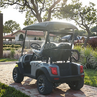 Voiturette de golf électrique personnalisée Rainbow 2 places, batterie lithium 48V, 5kW, certifiée GCC, pour parcours de golf
